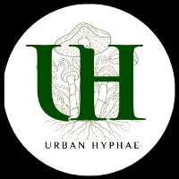 Urban Hyphae